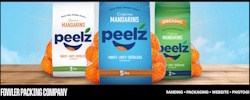 Unveiling Peelz: A Citrus Success